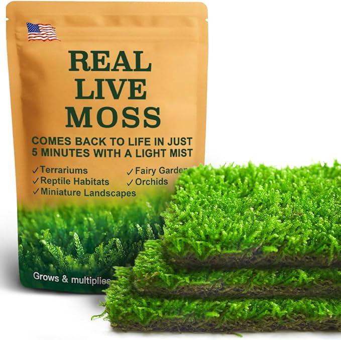 Real Live Hypnum Moss (8"x8") – Natural Sheet Moss for Terrariums, Bonsai, Reptile Habitats & Fairy Gardens – Reusable, Easy to Shape & Revives Quickly with Mist