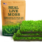 Live Moss – Hypnum Moss (3 Sheets, Each Approx. 3.5"x7") for Terrariums, Fairy Gardens, Bonsai & Natural Plant Decor – Naturally Grown, Reusable, Not Artificial