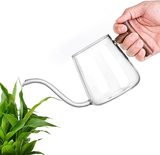 Watering Can Indoor Plants, 27 OZ Glass Watering Can, Long Curved Spout, Suitable for Indoor Plants, Bonsai Garden Flower Decoration