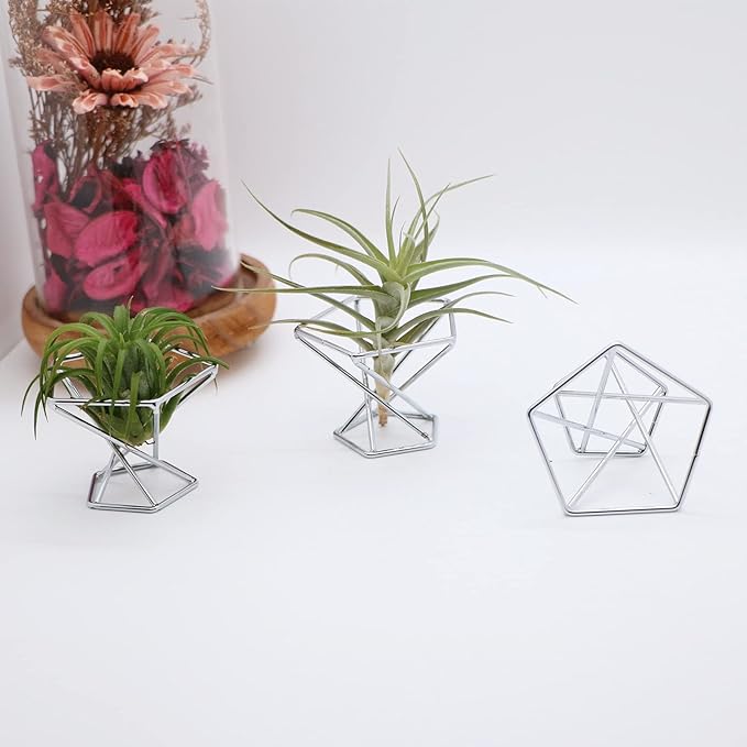 Geometric Air Plant Holder Airplants Rack Metal Plants Stand Planter Shelves Himmeli Living Decor Tillandsia Pot Containers (Silver 3pcs)