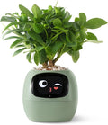 PLANTSIO Smart pet Planter Robot Guidance on Plant Care with Emojis, Adorable Plant Companion with Rich Gesture Interaction, Neat Desk Setup Gift (Green)