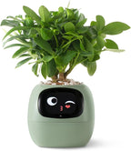 PLANTSIO Smart pet Planter Robot Guidance on Plant Care with Emojis, Adorable Plant Companion with Rich Gesture Interaction, Neat Desk Setup Gift (Green)