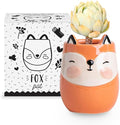 Fox Animal Ceramic Planter for Indoor and Outdoors, 3 x 3 x 4 in., Cute Hand Painted Designed in Argentina, Convenient Drain Hole