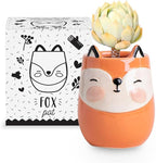 Fox Animal Ceramic Planter for Indoor and Outdoors, 3 x 3 x 4 in., Cute Hand Painted Designed in Argentina, Convenient Drain Hole