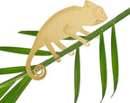 Rainteam Plant Animal Decor Brass Plant Charms for Live Plants Cute Animal Plant Hanger Ornaments for Pots Garden Plant Decorations Plant Accessories Gift for Plant Lovers(2 Chameleon)
