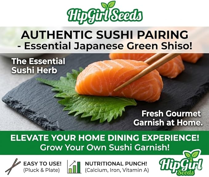 HipGirl Ultimate Triple Shiso Seed Bundle: Green Perilla, Red/Purple Shiso, & Japanese Shiso Seeds 200ct Each | Non-GMO Heirloom Seeds for Authentic Asian Culinary Gardens & Hydroponics