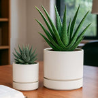 Phoenix Vine 6 Inch Planter Pot with Drainage Hole & Saucer, Deep Water Catch Tray, Straight Cylindrical Round Pot for Plants, Oatmeal, Pack of 2, 23-E-S-2