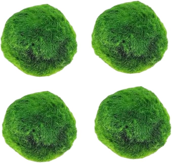 Plantas Naturales, 4-Pack Live Marimo Moss Balls, 2.7-2.9cm After Soaking - Natural Aquarium Plants for Fish Tank Decor & Ecological Bottles, Marimo Planta Viva
