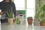 Miracle-Gro Succulent Potting Mix - Potting Soil Mix for Indoor Succulents, Aloe Vera and More, Made with Miracle-Gro Plant Food, 4 qt. (2-pack)