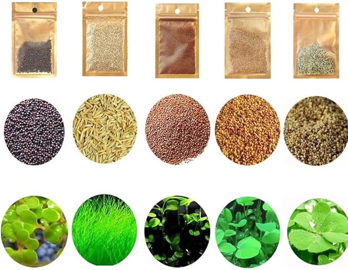 5 Aquarium Plants S.e.e.d Set, not Artifical, Fish Tank Decor Replacement for Resin or Plastic Grass