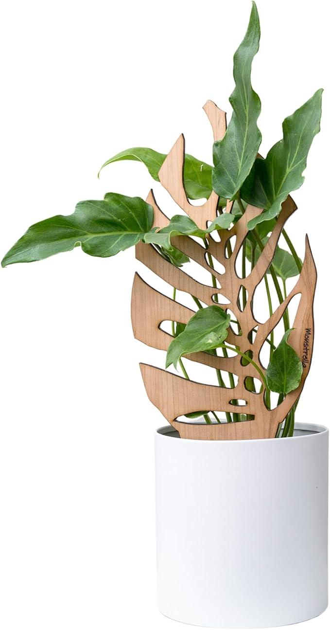 Treleaf Monstrella Leaf Inspired Wooden Trellis – Grande Size Indoor Plant Support for Climbing Plants – 12” Decorative Houseplant Trellis for Vines, Monstera, Pothos & More