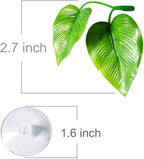 CousDUoBe 1 Pack Betta Fish Leaf Pad Improves Betta's Health by Simulating The Natural Habitat - Natural, Organic, Comfortable Rest Area for Fish Aquarium Ornaments
