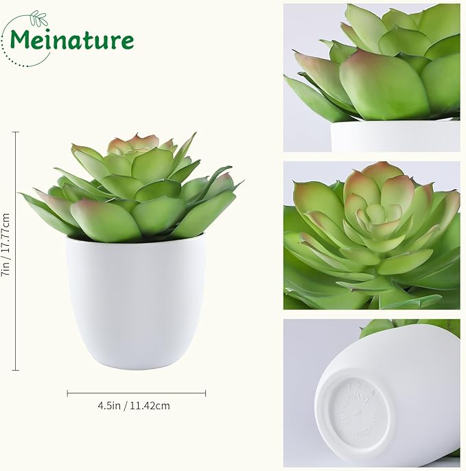 Lifelike Artificial Succulent Plants in White Large Basin - 5.5 Inch Diameter Large Flowers, Green & White, Ideal for Home and Office Table Decoration
