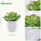 Lifelike Artificial Succulent Plants in White Large Basin - 5.5 Inch Diameter Large Flowers, Green & White, Ideal for Home and Office Table Decoration