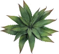 Artificial Aloe Vera Plant, 11Inch Realistic Large Fake Succulents for Indoor Outdoor Home Decor, Green