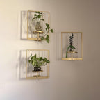 Picture Frame Wall Planters Set of 3, Modern Metal Hanging Shelves for Plants, Rustproof Wall Mount Flower Pot Holder for Indoor Outdoor, Decorative Plant Stand for Living Room Patio, White