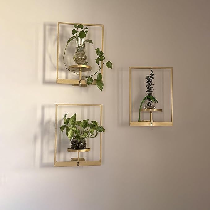 Picture Frame Wall Planters Set of 3, Modern Metal Hanging Shelves for Plants, Rustproof Wall Mount Flower Pot Holder for Indoor Outdoor, Decorative Plant Stand for Living Room Patio, Gold