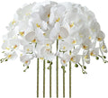 FagusHome 32" Artificial Phalaenopsis Flowers 6 Pcs Artificial Orchid Flowers Stem Plants for Home Décor (6Pcs)