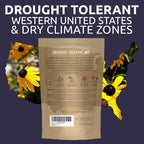Drought Tolerant Wildflowers Mix – Bulk 5 Pounds – Over 600,000 Open Pollinated Non-GMO Seeds – 21 Different Dryland Species