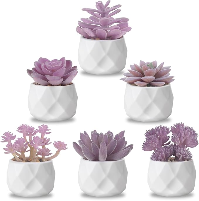 ZINHO Fake Succulent Plant Set 6 PCS Artificial Succulent Plants for Desk Realistic Faux Succulents in Plastic Pots Mini Colorful Succulent Decor for Bedroom Bathroom Office Shelf Decor (Purple)
