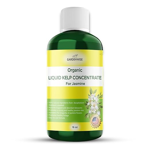 GARDENWISE Organic Premium Kelp Seaweed Fertilizer for Jasmin - Liquid Fertilizer - Liquid Plant Food - Nutrient-Rich Soil Enhancer - Natural Plant Food for Jasmin (16 OZ)