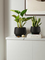 LE TAUCI Plant Pots, 4.1+5.1+6.5 inch, Set of 3, Ceramic Planters with Drainage Hole and Saucer, Indoor Flower Pot with Hole Mesh Pad, Gifts for Mom, Black
