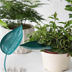 leaflow Plant Pot Watering Funnel,3 Color Leaf Plant Watering Devices,Plant Watering Funnel ，for Indoor and Outdoor Plants(15Pcs)
