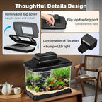 DaToo Small Fish Tank Ultra-Clear 1.6 Gallon Aquarium Starter Kits with LED Lighting and Filter System Beginner-Friendly Mini Betta Aquarium for Small Fish Shrimp Desktop Room Decoration