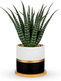 Briful Artificial Succulent Plant in Pot with Bamboo Tray, Faux Agave Potted Plant, Realistic Aloe Fake Plant for Home, Office Desk, Shelf, Modern Indoor Decoration