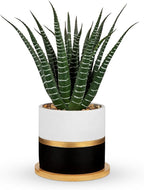 Briful Artificial Succulent Plant in Pot with Bamboo Tray, Faux Agave Potted Plant, Realistic Aloe Fake Plant for Home, Office Desk, Shelf, Modern Indoor Decoration