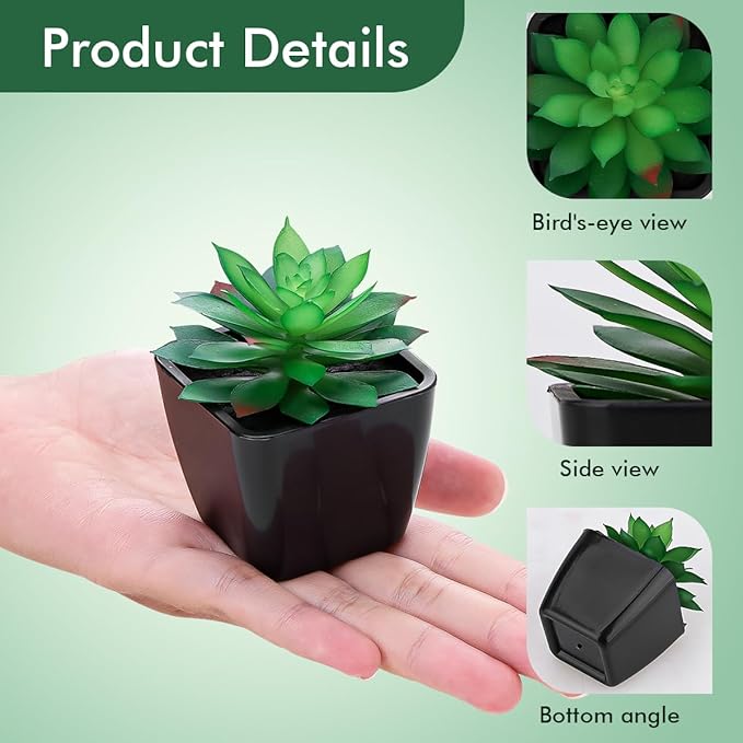 6 Pack Artificial Succulents Plants Potted Small Fake Greenery Plant Realistic in Black Pots for Office Desk Halloween Decorations Bedroom Living Room Shelf Bathroom Decor