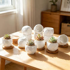 ZOUTOG Succulent Plant Pot 12 Pack, 2.5 inch Square Pattern Ceramic Planters with Bamboo Tray, Small Succulent Pots Indoor, White Office Desk Decor (Seeds＆ Plants Not Included)