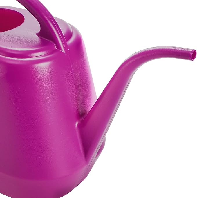 Fasmov Plastic Watering Can, Rose Red, 1-Gallon