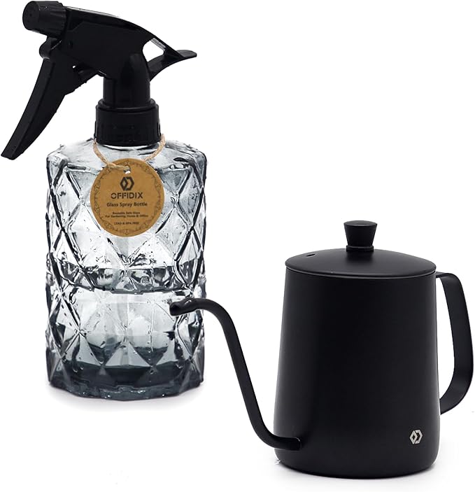 OFFIDIX Watering Can for Indoor Plants,Long Spout Metal Stainless Steel 21 oz Watering Can with 14 oz Glass Plant Mister Spray Bottle for Plant Bonsai