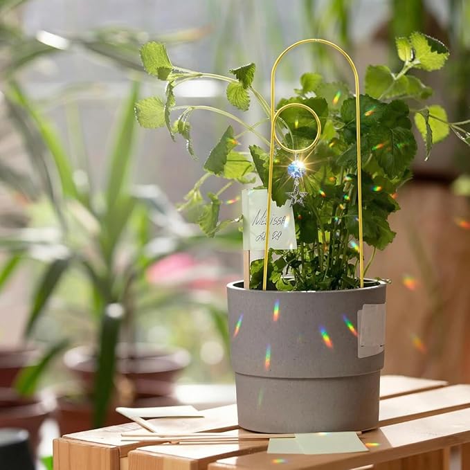 Small Trellis for Potted Plants Indoor with Crystal Sun Catcher, 4Pack Golden Metal Plant Stake for Home Window Garden, Plant Accessories Indoor Decoration (Mix)
