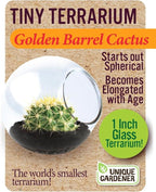 Unique Gardener Tiny Terrarium Plant Seeds 6 Variety Cacti Pack, DIY Indoor Succulents and Live Plants for Home or Garden Planting, Assorted Cacti Pack