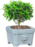 8-Inch Large Bonsai Pot Light Blue Water Bonsai Tree Ceramic Flower Pot Handmade