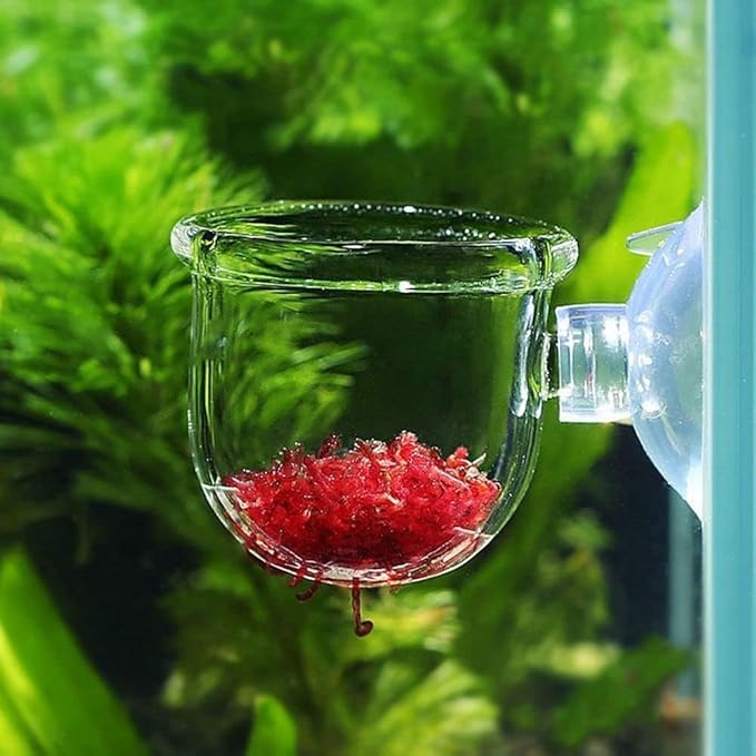 JJLFresheners 2Pcs Aquarium Plant Pot, Glass Fish Tank Plants Holder Aquarium Planter, Decoration Plants Cup with Suction Cups for Fish Tank Ornament Décor