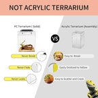 Reptileg Growth Reptile PC Terrarium, 8''x 8''x 11'' with Top Sliding Door Screen Ventilation Tarantula Enclosure for Snake, Frog,Insect,Tarantula,Hermit Crab，Spider,Iguana,Tortoise,Bearded Dragon