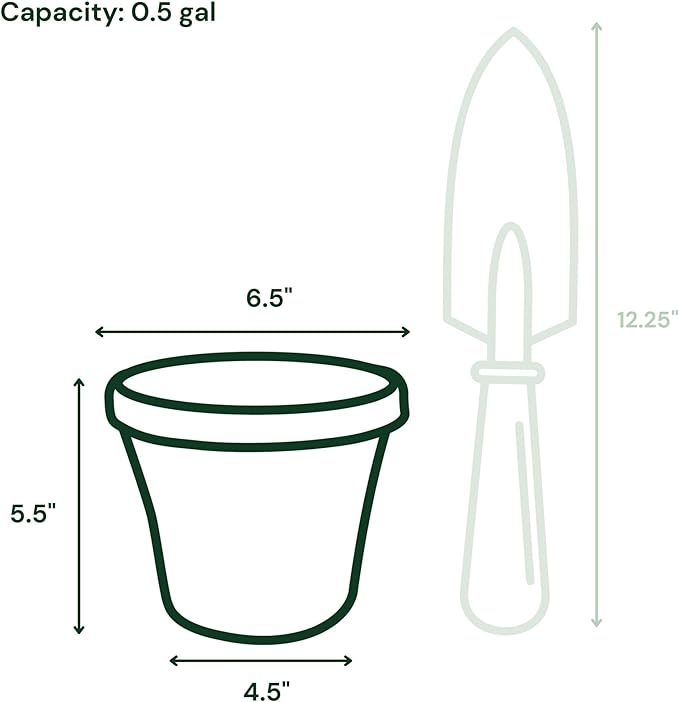 Bloem Terra 6" Diameter Round Vanilla Bean Resin Planter Pot with Drainage Holes for Indoor and Outdoor Gardening