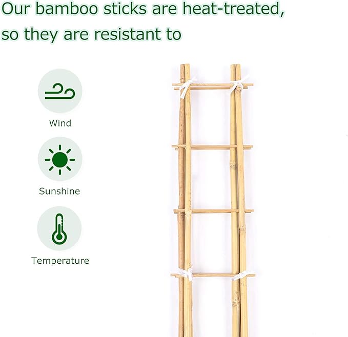 Cambaverd 24 Inch Trellis for Potted Plants, 3 Pack Bamboo Trellis Indoor, Natural Garden Trellis for Climbing Plant Monstera Hoya Vegetables and Fruits