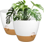 ZMTECH 12Inch 2Pcs Plant Pot Planter for Indoor Plants Self Watering Pot Flower Pot with Drainage Holes and Saucer for Outdoor Plants(White with Brown)