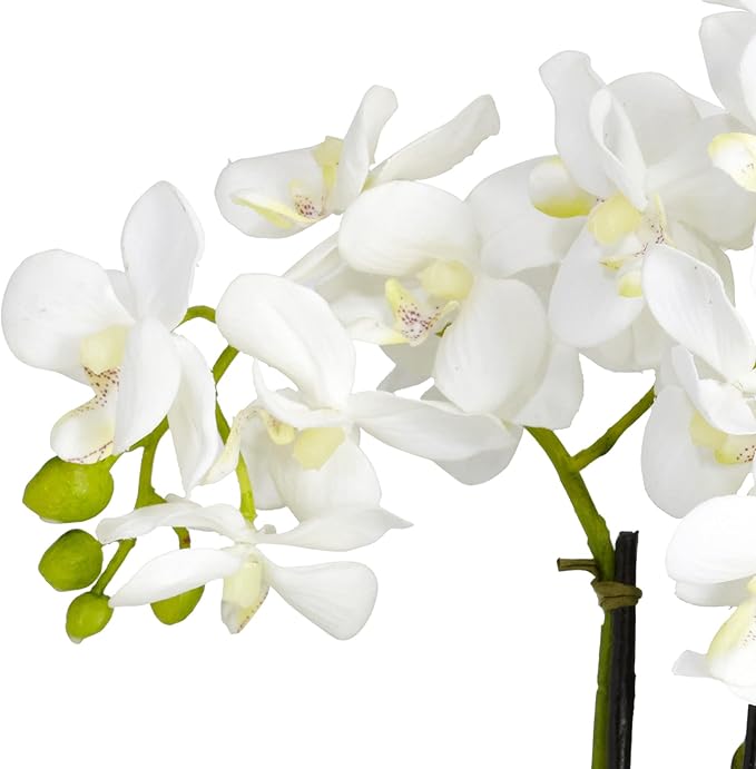 Nearly Natural Phalaenopsis Silk Flower Arrangement