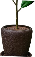 BESPORTBLE 3sets Plant Pot Grid Pot Protectors for Garden Balcony Cat Dog Deterrent Easy to Use Plant for Use