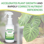 Organic Indoor Houseplant Spray - Liquid Plant Food in a Spray Bottle (Foliar Fertilizer) | Use on All Live Indoor Plants, Orchids, and Succulents | No Mixing Required (32oz)