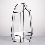 NCYP No Door Geometric Glass Terrarium Planter for Small Succulent, Small Cacti, Black Irregular Opened Terrarium Pot, Indoor Home Garden Office Tabletop Decor, 6.5" x 5.7" x 9.8" (No Plants)