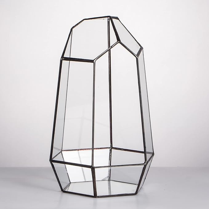 NCYP No Door Geometric Glass Terrarium Planter for Small Succulent, Small Cacti, Black Irregular Opened Terrarium Pot, Indoor Home Garden Office Tabletop Decor, 6.5" x 5.7" x 9.8" (No Plants)