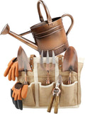 1 Gallon Galvanized Steel Watering Can with 3 Pcs of Garden Tools, 1 Pc of Pruning Shear, 1 Pair of Gardening Gloves，1 Pc of Garden Tools Organizer Tote