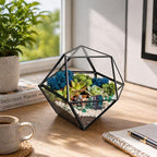 Creations by Nathalie DIY 7" Geometric Terrarium Kit - Build Your Own Glass Terrarium for Adults & Teens with Moss, Crystals, Tools & Decorative Figurine - Mini Ecosystem (Plant Not Included)