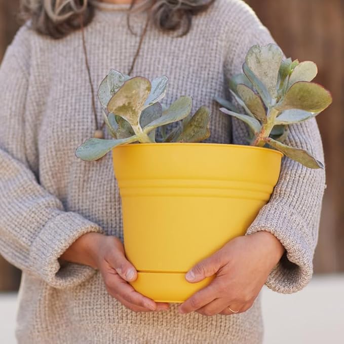Bloem Saturn Planter w/Saucer (SP1023), Earthy Yellow, 10"
